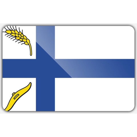 Vlag gemeente Wierden - 150 x 225 cm - Polyester