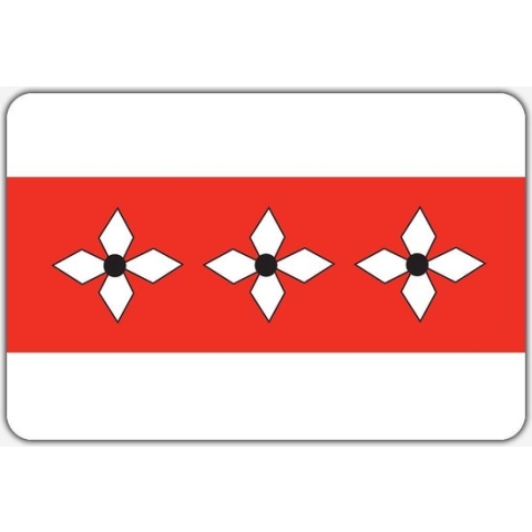 Vlag Vries - 150 x 225 cm - Polyester
