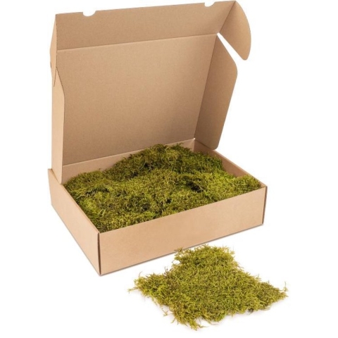 Kleine doos platmos - kleur mos: Spring Green (voor o.a. decoratie, mosschilderij of moswand).