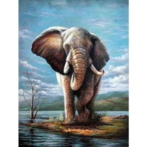 Diamond painting - Geschilderde olifant - Geproduceerd in Nederland - 30 x 40 cm - canvas materiaal - vierkante steentjes - Binnen 2-3 werkdagen in huis