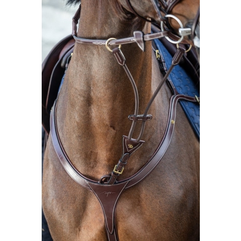 Dy on Elastic Running Martingale Attachment D Col. - Black - Maat Pony