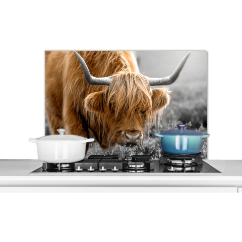 Spatscherm Keuken - Kookplaat Achterwand - Spatwand Fornuis - 90x60 cm - Schotse Hooglander - Dieren - Bruin - Koe - Zwart - Wit - Natuur - Aluminium - Wanddecoratie - Muurbeschermer - Hittebestendig
