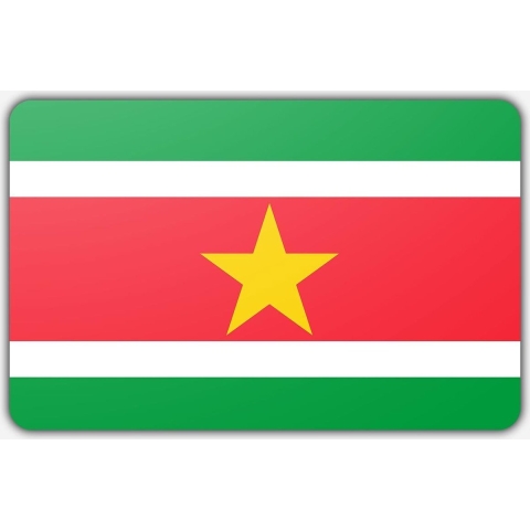 Vlag Suriname - 150 x 225 cm - Polyester