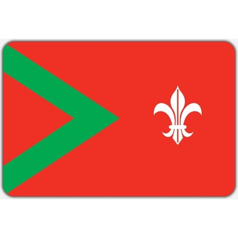Vlag Rijsbergen - 150 x 225 cm - Polyester