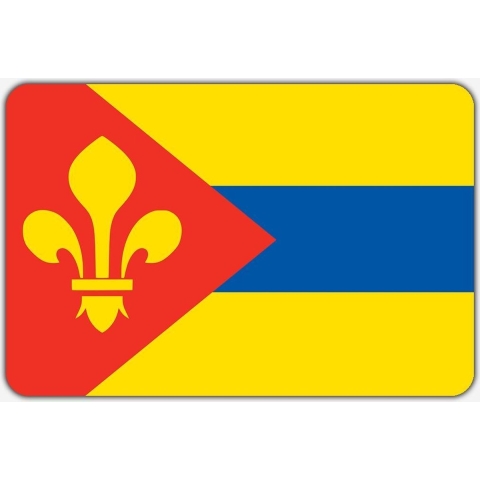 Vlag Surhuizum - 200 x 300 cm - Polyester