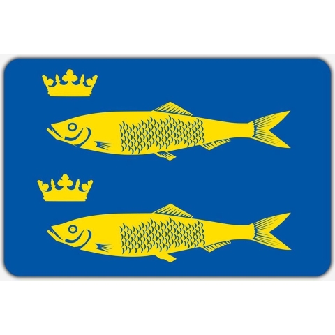 Vlag De Rijp - 150 x 225 cm - Polyester