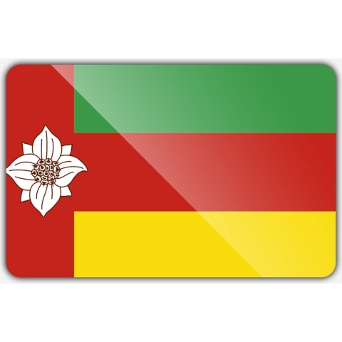 Vlag gemeente Tynaarlo - 150 x 225 cm - Polyester