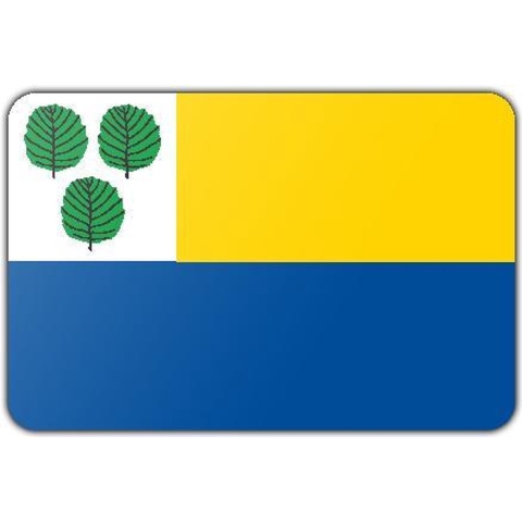 Vlag gemeente Oldebroek - 200 x 300 cm - Polyester