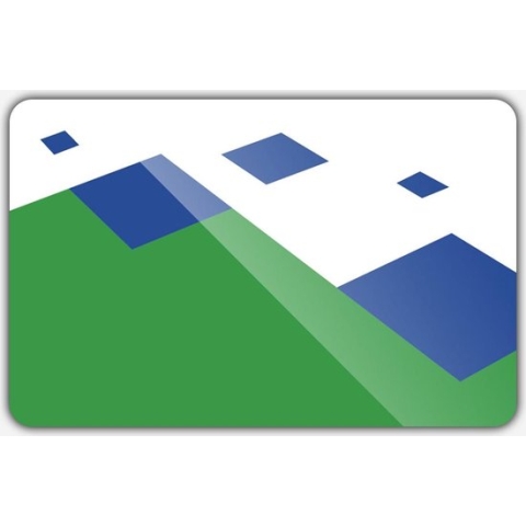 Vlag gemeente Twenterand - 200 x 300 cm - Polyester