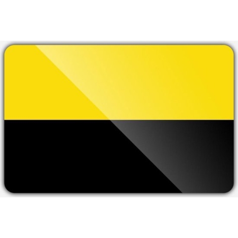 Vlag gemeente Tiel - 200 x 300 cm - Polyester