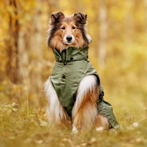 Rukka Pets Streamy ECO Raincoat - Trendy hondenregenjas - Gerecycled materiaal - Opening voor riem of harnas - Afneembare capuchon - Olijfgroen - In 9 maten - Kleur: Olijf, Maat: Maat 50
