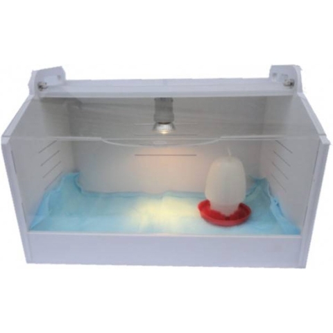 Brooder voor kuikens