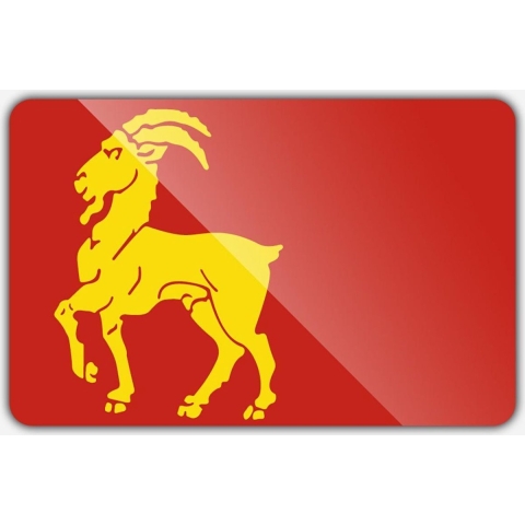 Vlag gemeente Boxmeer - 200 x 300 cm - Polyester