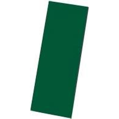 Magneetetiketten, individueel beschrijfbaar, 100/VE 100 x 50 mm Groen