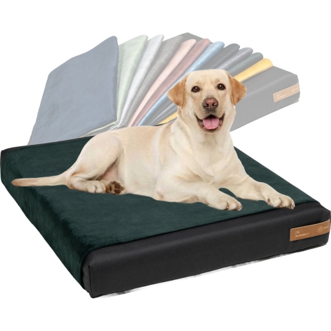 Rexproduct Orthopedisch Hondenkussen - Hondenmand - Hondenbed met rits en wasbaar - Hondenkussens 60 X 70 CM - Manden & kussens 0 tot 80 kg – Orthopedisch Ori Donker Groen