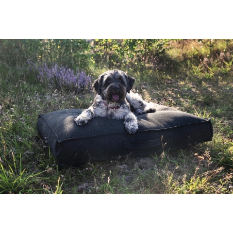 Takoda Hondenkussen - 100 x 75 cm Desert Sand