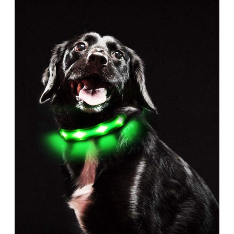 Lichthalsband voor honden ,(S, Groen)