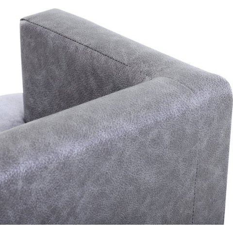 PawHut Hondenbank huisdierbank hondenbed hondenmat woonkamer PU-leer kort pluche grijs D04-135