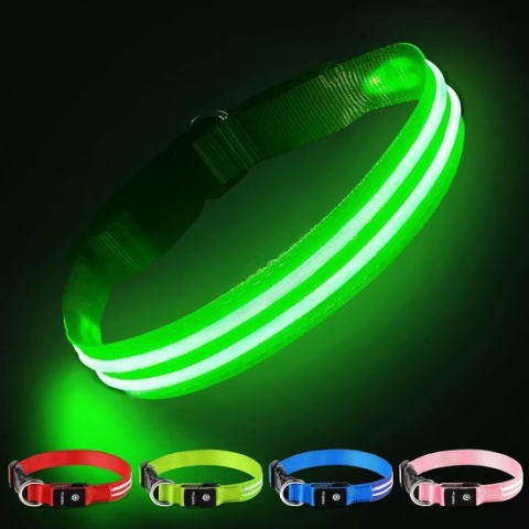 LED Halsband voor Honden Waterdicht Lichtgevende Halsbanden met 3 Standen voor Kleine Grote Honden - Groen - S