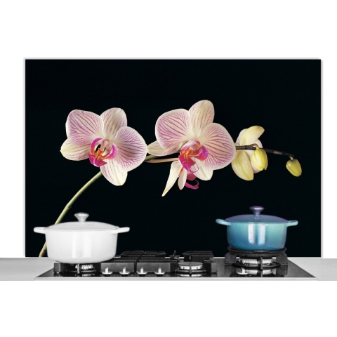 Spatscherm Keuken - Kookplaat Achterwand - Spatwand Fornuis - 120x80 cm - Orchidee - Bloemen - Zwart - Roze - Knoppen - Aluminium - Wanddecoratie - Muurbeschermer - Hittebestendig