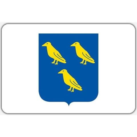 Vlag Waspik - 200 x 300 cm - Polyester