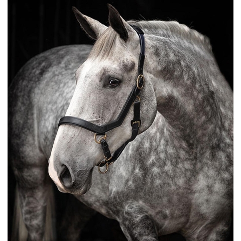Horseware Halster Rambo Micklem - Zwart - extra Groot