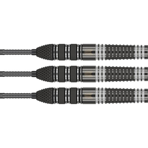 Target Raymond van Barneveld x Echo Swiss Point 95% - Dartpijlen - 25 Gram