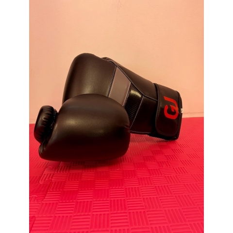 GJ Professionele Bokshandschoenen - echt LEER