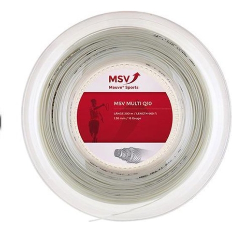 MSV Multi Q10
