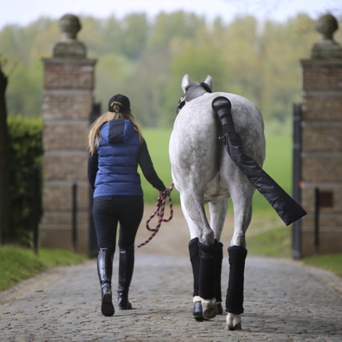 Kentucky Stable Polo pads - Color : Grijs