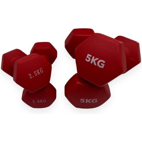 Padisport - Dumbell Neopreen Set 2,5 En 5 - Gewichten Set Halters - Rood - Gewichten 2,5 Kg - Dumbellset - Halterset - Gewichtjes Set 2,5 Gewichten Set 5 Kg