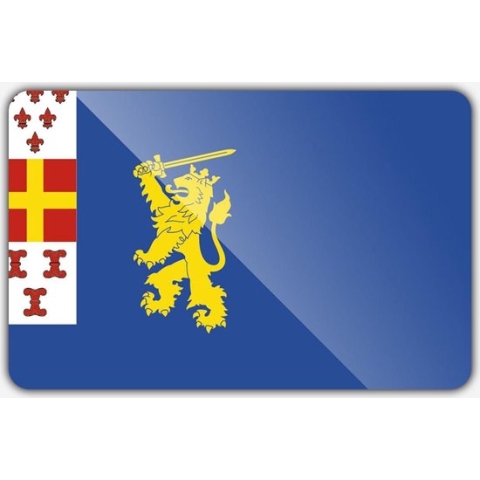 Vlag gemeente Nijkerk - 200 x 300 cm - Polyester