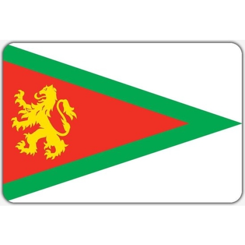 Vlag Harkema - 200 x 300 cm - Polyester