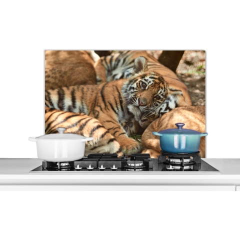 Spatscherm Keuken - Kookplaat Achterwand - Spatwand Fornuis - 90x60 cm - Tijgers - Welp - Zon - Aluminium - Wanddecoratie - Muurbeschermer - Hittebestendig
