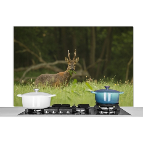 Spatscherm Keuken - Kookplaat Achterwand - Spatwand Fornuis - 120x80 cm - Hert - Gras - Bos - Aluminium - Wanddecoratie - Muurbeschermer - Hittebestendig