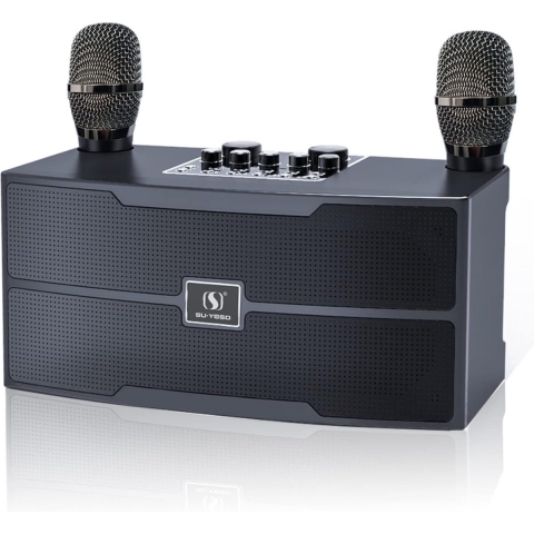 Karaoke - Karaoke set professional Bluetooth met 2 draadloze microfoons voor volwassenen, draagbare karaoke Machine voor kinderen, geluid PA-systeem, zangmachine Karaoke microfoon ondersteunt TF/USB, AUX-ingang