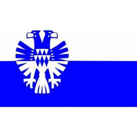 Vlag gemeente Arnhem 150 x 225 cm