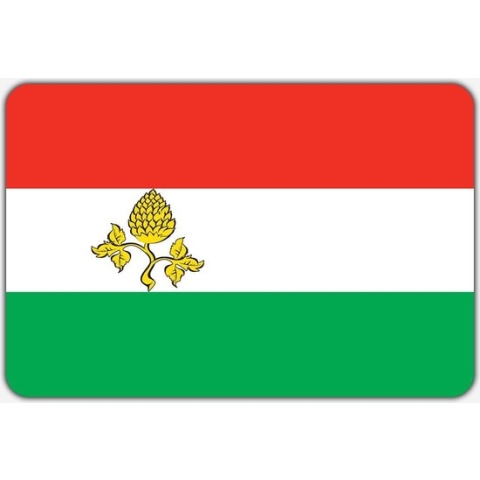 Vlag Peize - 200 x 300 cm - Polyester