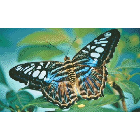 MyHobby Borduurpakket – Gestreepte vlinder 50×30 cm - Aida stof 5,5 kruisjes/cm (14 count)