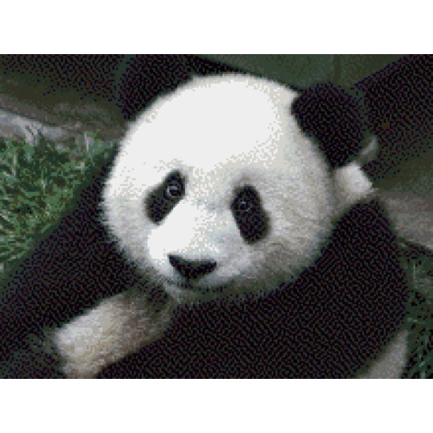 MyHobby Borduurpakket – Panda 40×30 cm - Aida stof 5,5 kruisjes/cm (14 count)