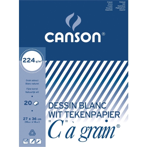 Canson tekenblok C à grain 224 g/m², ft 27 x 36 cm 10 stuks