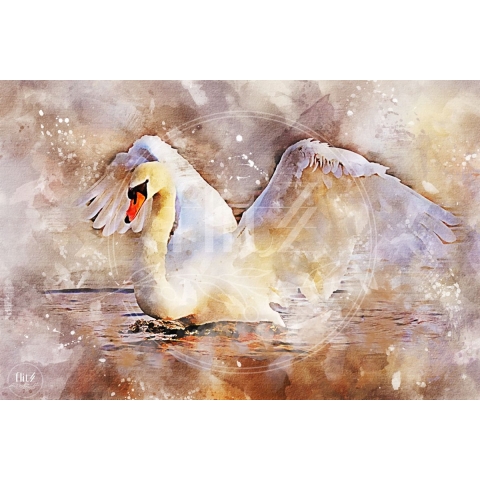 100% Nederlandse Productie! │ Diamond Painting │ Aquarel Zwaan│ Formaat 90 x 60 cm │ Diamond Painting Pakket Volwassen │ Volledige bedekking │ Vierkant │ Full │ Flitzz Diamond Painting