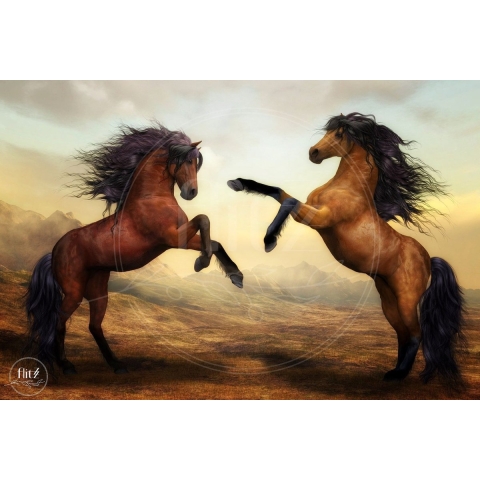 100% Nederlandse Productie! │ Diamond Painting │ Klassieke Paarden│ Formaat 120 x 80 cm │ Diamond Painting Pakket Volwassen │ Volledige bedekking │ Vierkant │ Full │ Flitzz Diamond Painting