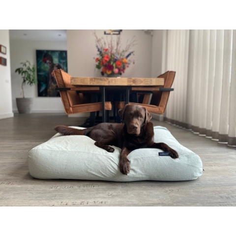 Dog's Companion - Hondenkussen / Hondenbed cool mintgroen ribcord - M - 90x70cm