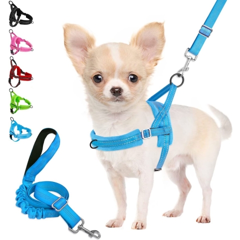 Honden licht – Hondenhalsband met licht – Hondenlicht - Hond uitlaten – Hondenlamp