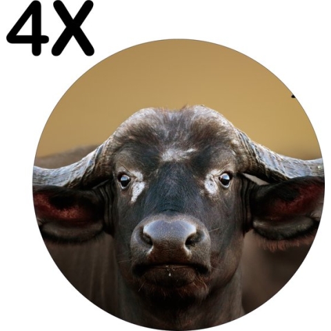 BWK Stevige Ronde Placemat - Afrikaanse Buffel - Set van 4 Placemats - 50x50 cm - 1 mm dik Polystyreen - Afneembaar