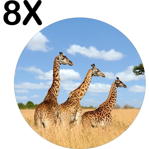 BWK Luxe Ronde Placemat - Drie Giraffen in het Hoge Bruine Gras - Set van 8 Placemats - 40x40 cm - 2 mm dik Vinyl - Anti Slip - Afneembaar