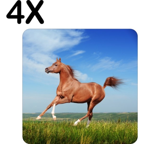 BWK Luxe Placemat - Paard Gallopperend door het Groene Gras - Set van 4 Placemats - 40x40 cm - 2 mm dik Vinyl - Anti Slip - Afneembaar
