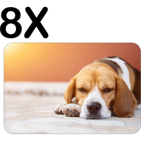 BWK Stevige Placemat - Liggende Beagle Puppy - Set van 8 Placemats - 45x30 cm - 1 mm dik Polystyreen - Afneembaar