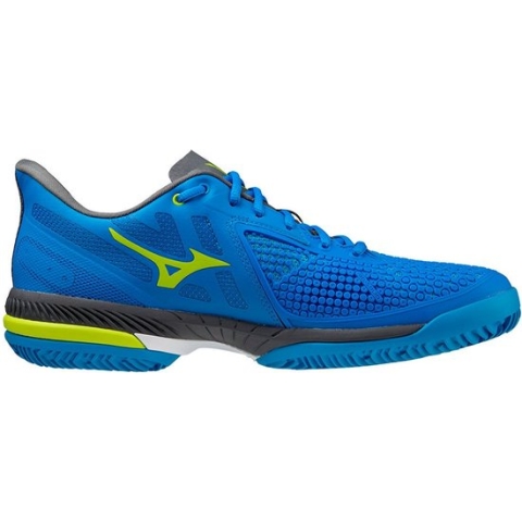 Mizuno Wave Exceed Tour 5 Cc Tennisbannen Schoenen Blauw EU 44 Man